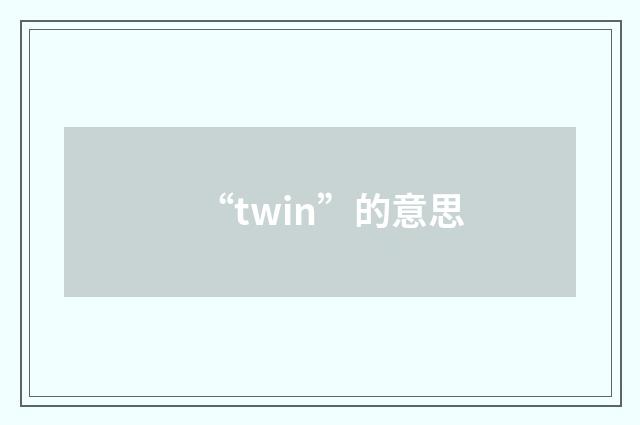 “twin”的意思