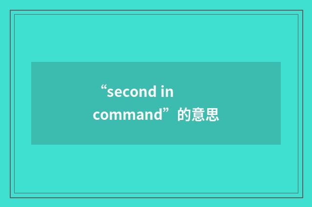 “second in command”的意思