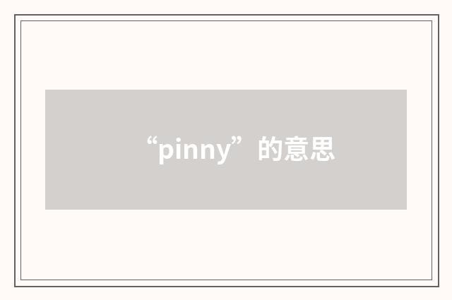 “pinny”的意思