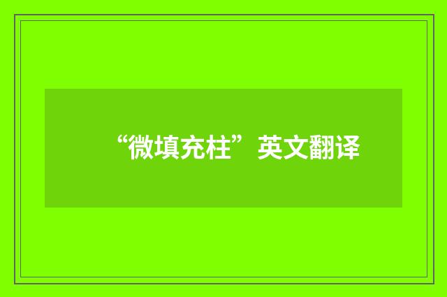 “微填充柱”英文翻译