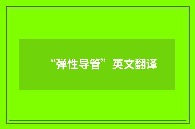 “弹性导管”英文翻译