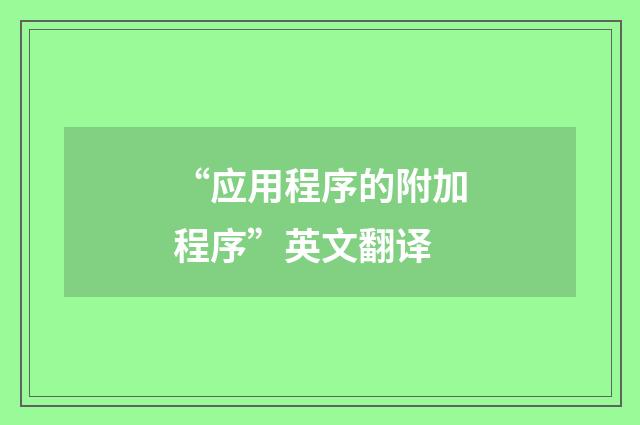 “应用程序的附加程序”英文翻译