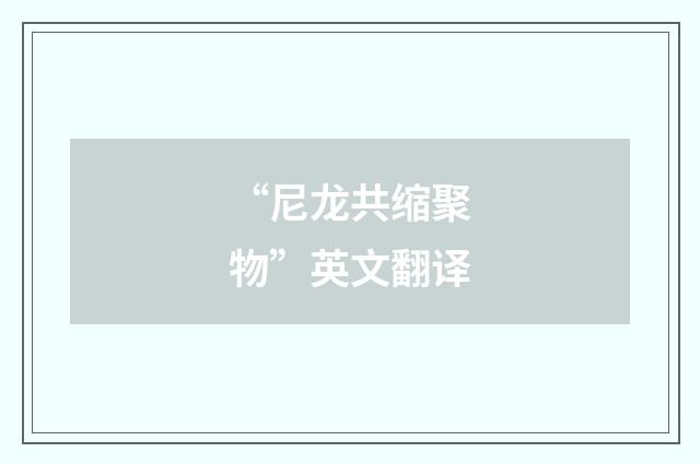 “尼龙共缩聚物”英文翻译