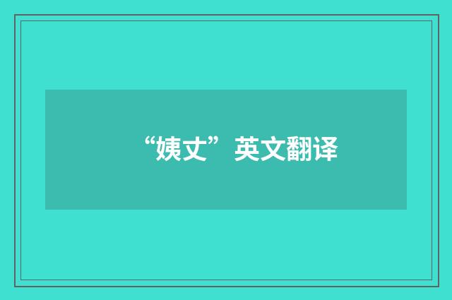 “姨丈”英文翻译