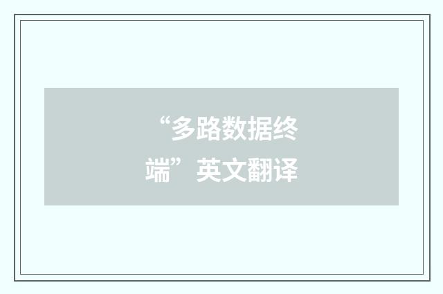 “多路数据终端”英文翻译