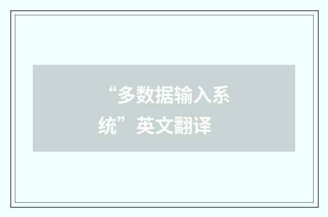 “多数据输入系统”英文翻译