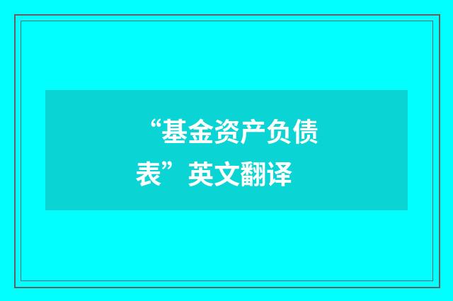 “基金资产负债表”英文翻译