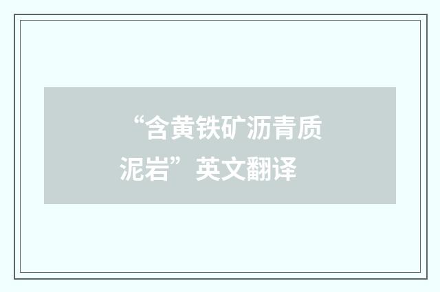 “含黄铁矿沥青质泥岩”英文翻译