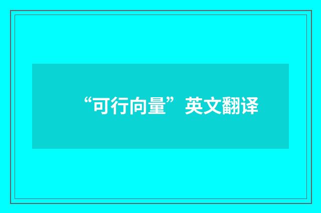 “可行向量”英文翻译