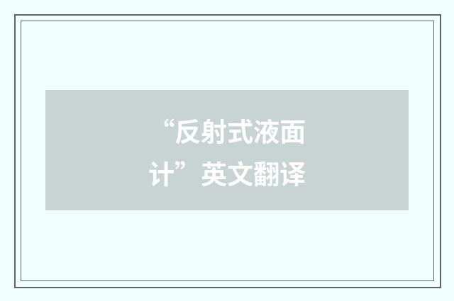 “反射式液面计”英文翻译