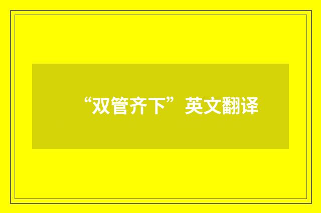 “双管齐下”英文翻译