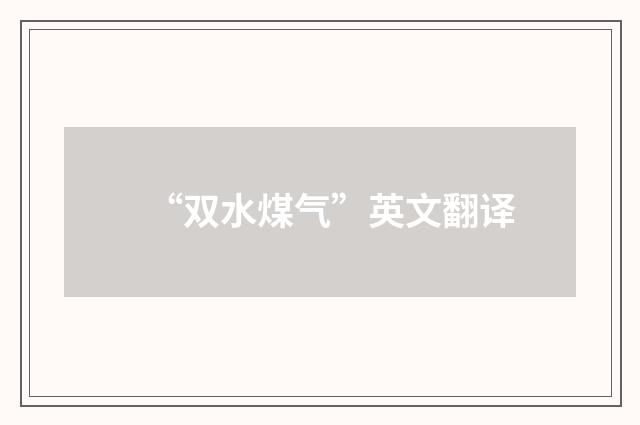 “双水煤气”英文翻译