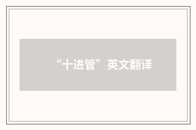“十进管”英文翻译