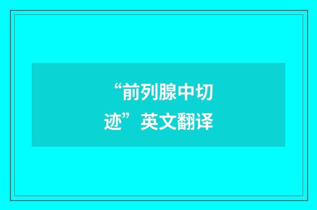 “前列腺中切迹”英文翻译