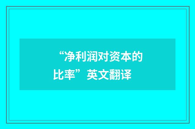 “净利润对资本的比率”英文翻译