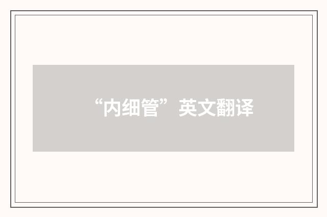 “内细管”英文翻译