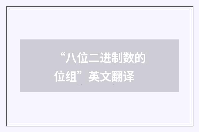 “八位二进制数的位组”英文翻译