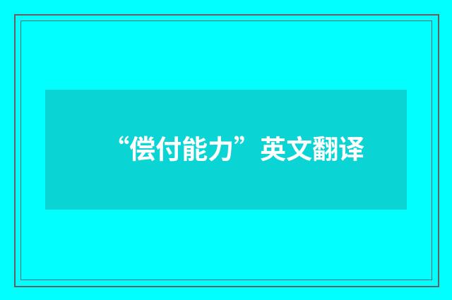 “偿付能力”英文翻译