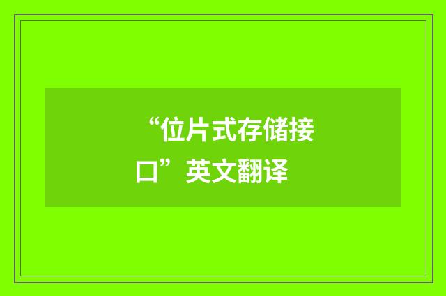 “位片式存储接口”英文翻译