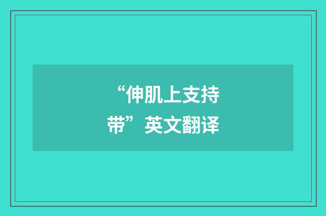“伸肌上支持带”英文翻译