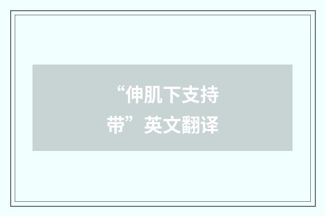 “伸肌下支持带”英文翻译