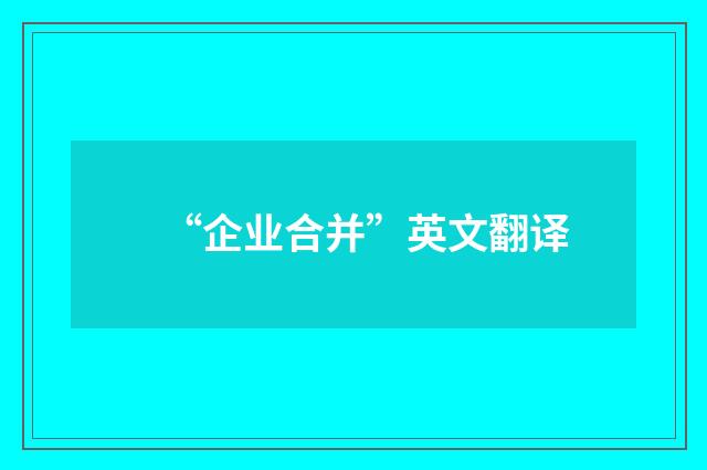“企业合并”英文翻译