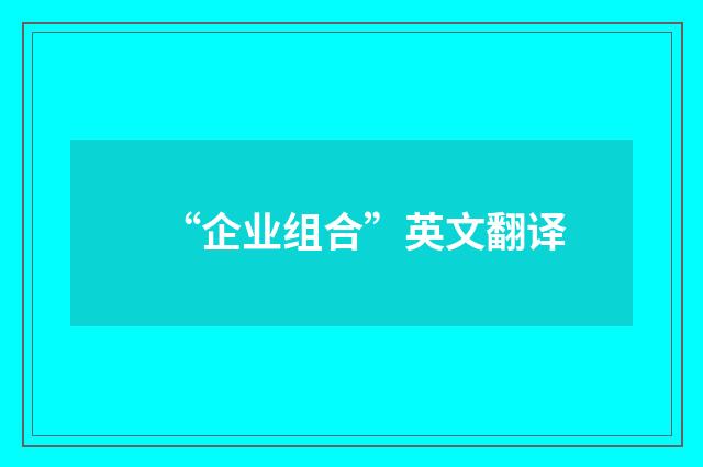 “企业组合”英文翻译
