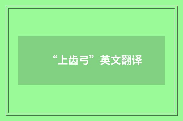 “上齿弓”英文翻译