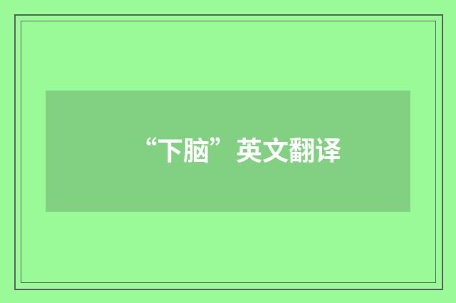 “下脑”英文翻译