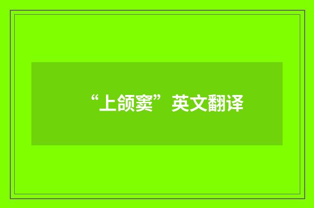 “上颌窦”英文翻译