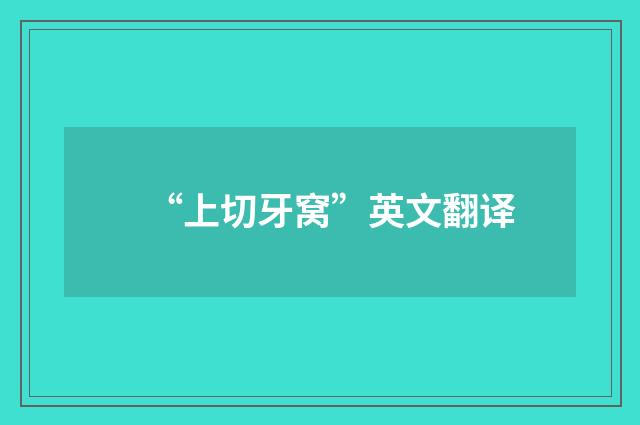 “上切牙窝”英文翻译