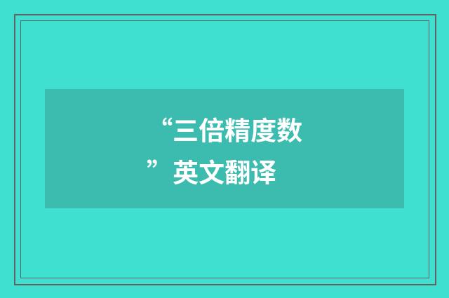 “三倍精度数”英文翻译