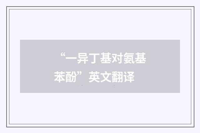 “一异丁基对氨基苯酚”英文翻译
