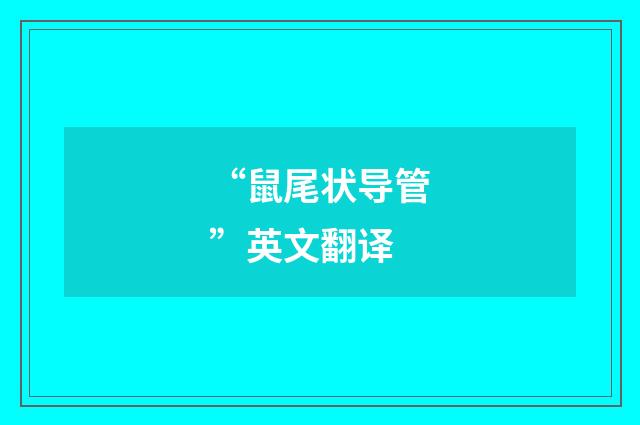 “鼠尾状导管”英文翻译