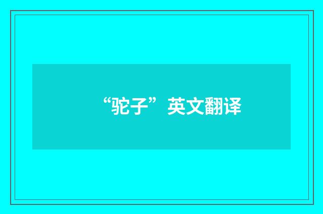 “驼子”英文翻译