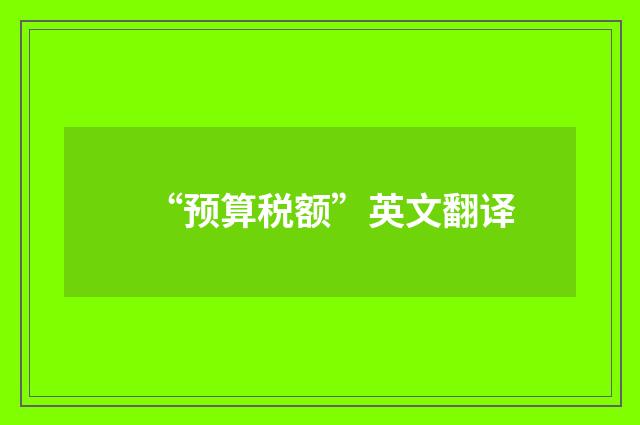 “预算税额”英文翻译