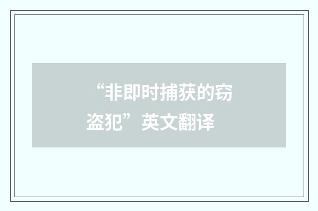 “非即时捕获的窃盗犯”英文翻译