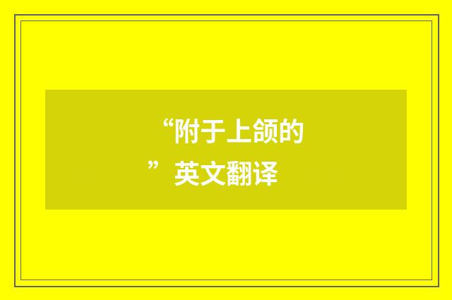 “附于上颌的”英文翻译