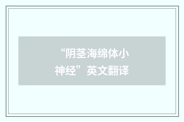 “阴茎海绵体小神经”英文翻译