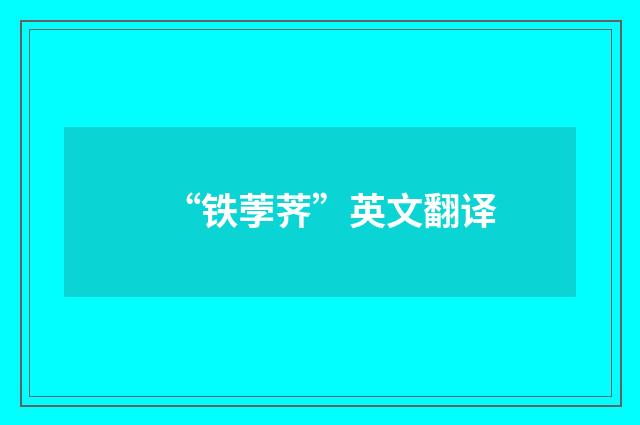 “铁荸荠”英文翻译