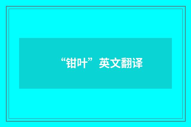 “钳叶”英文翻译