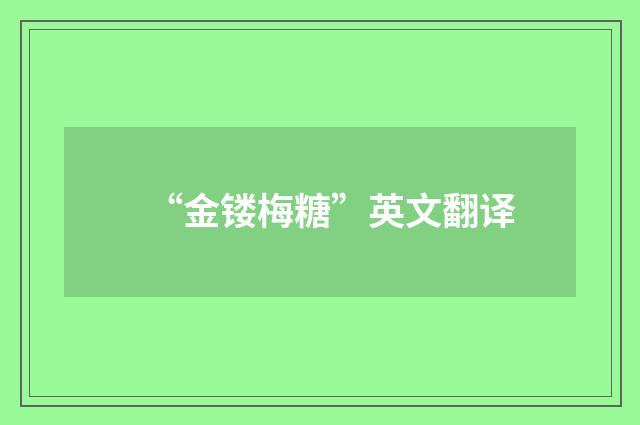 “金镂梅糖”英文翻译