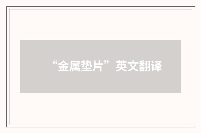 “金属垫片”英文翻译