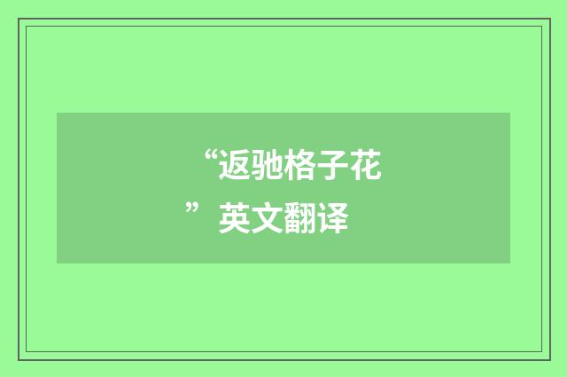 “返驰格子花”英文翻译