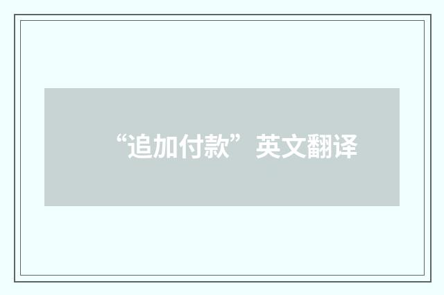 “追加付款”英文翻译