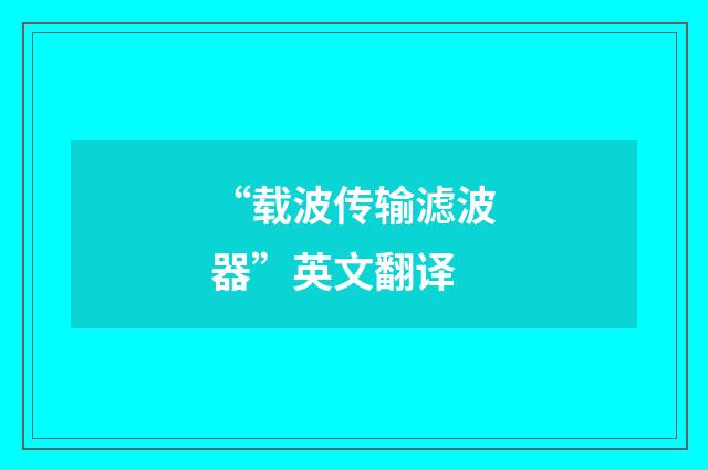 “载波传输滤波器”英文翻译