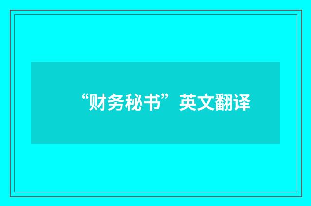 “财务秘书”英文翻译