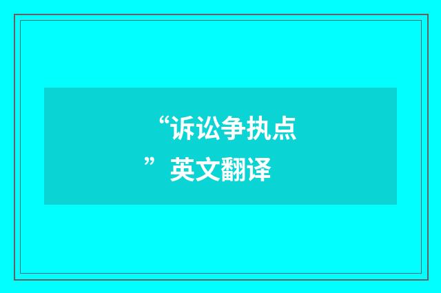“诉讼争执点”英文翻译