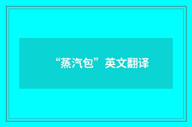 “蒸汽包”英文翻译