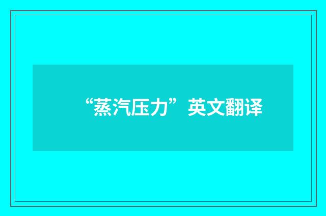 “蒸汽压力”英文翻译